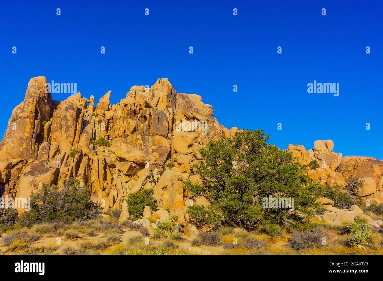 Joshua Tree National Park, California del Sud Foto Stock