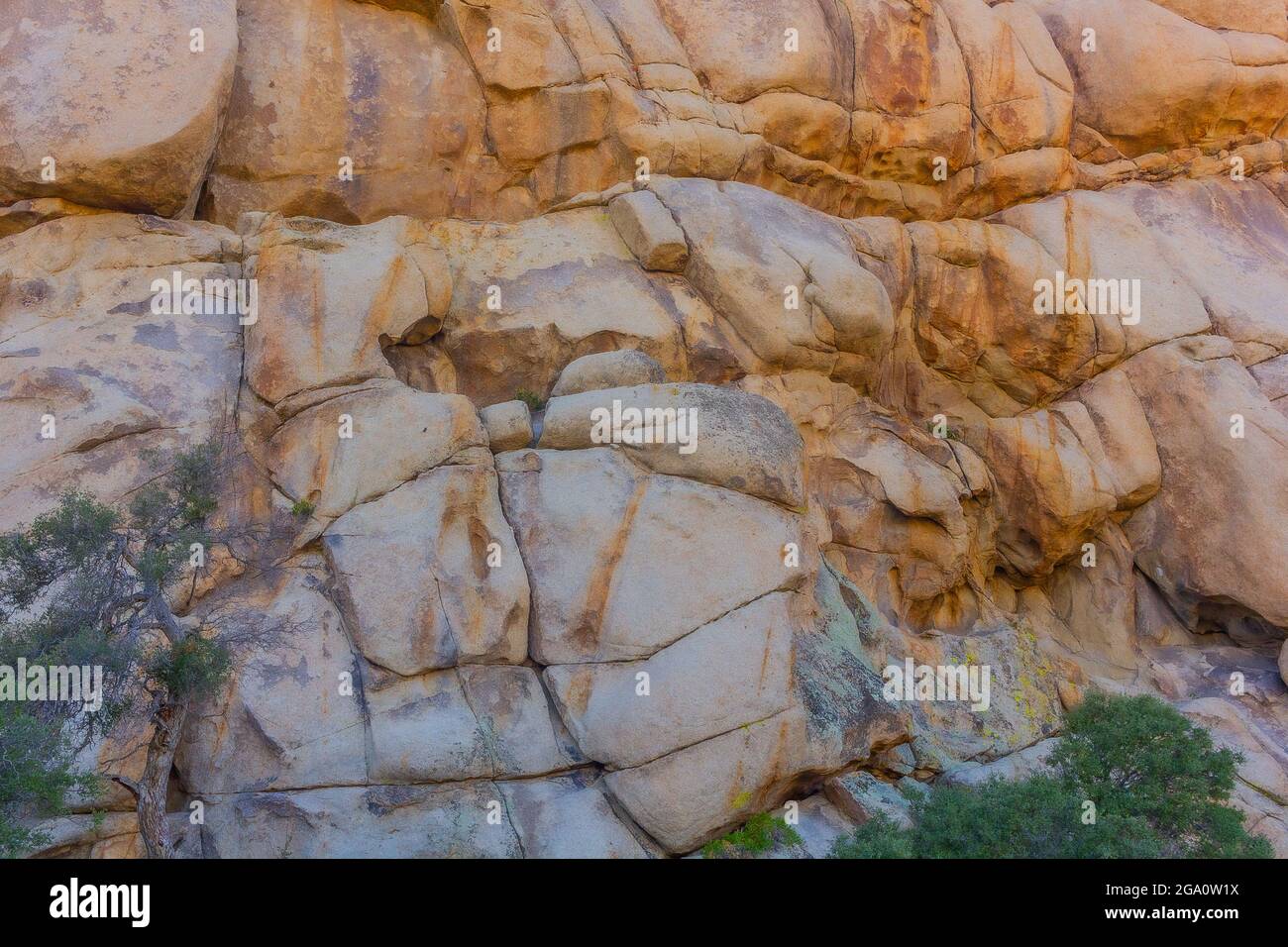 Joshua Tree National Park, California del Sud Foto Stock