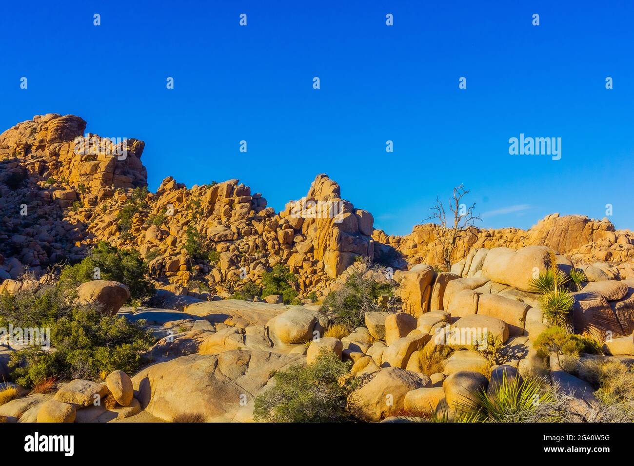 Joshua Tree National Park, California del Sud Foto Stock