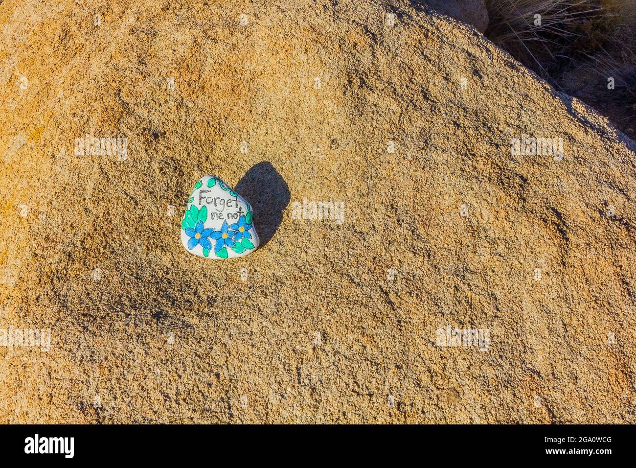 Joshua Tree National Park, California del Sud Foto Stock