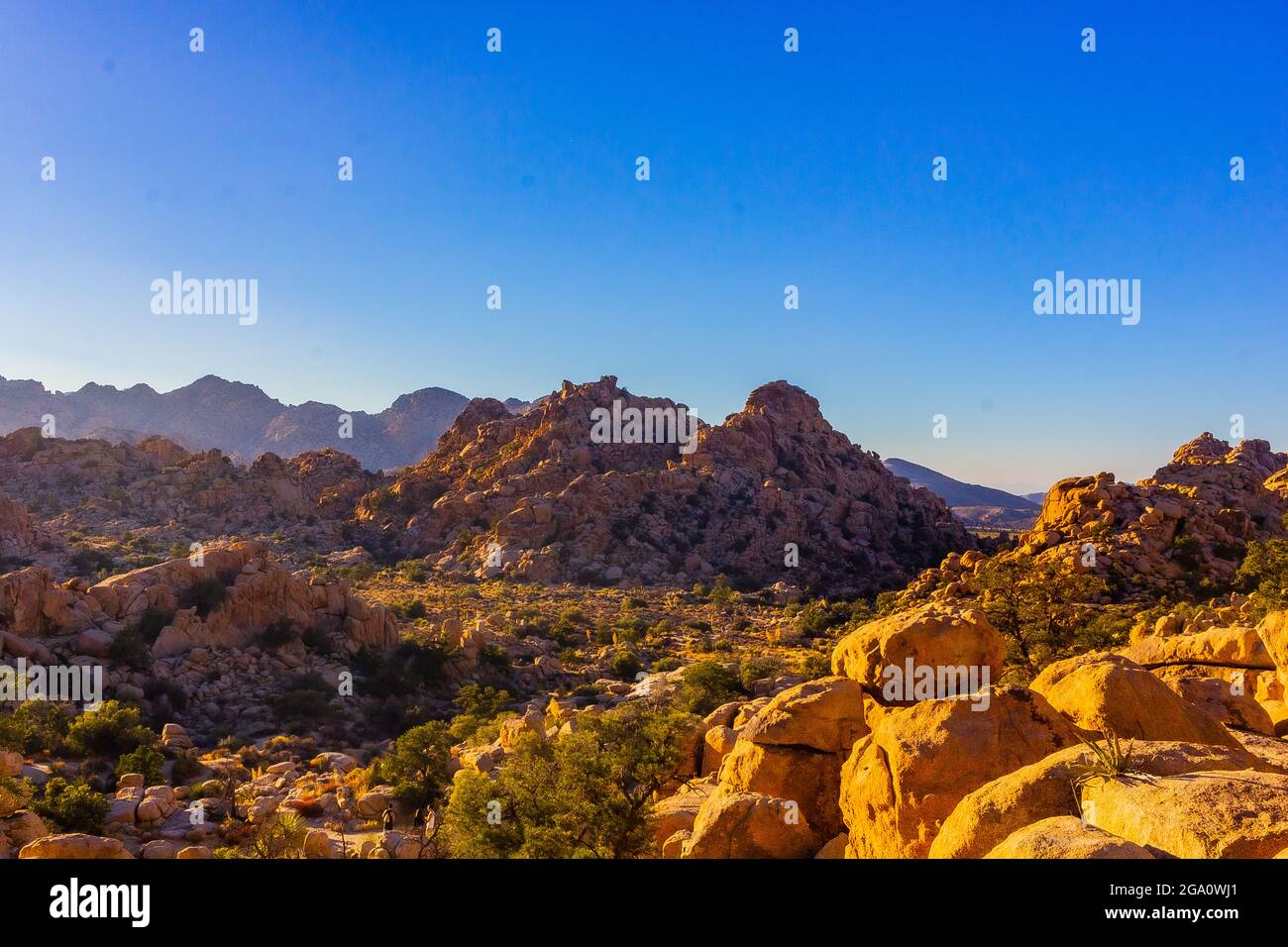 Joshua Tree National Park, California del Sud Foto Stock