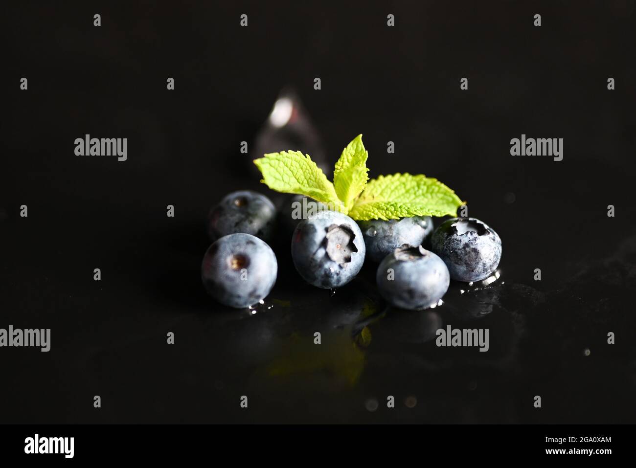 berry mirtillo selvatico su sfondo nero con gocce e menta foglia Foto Stock