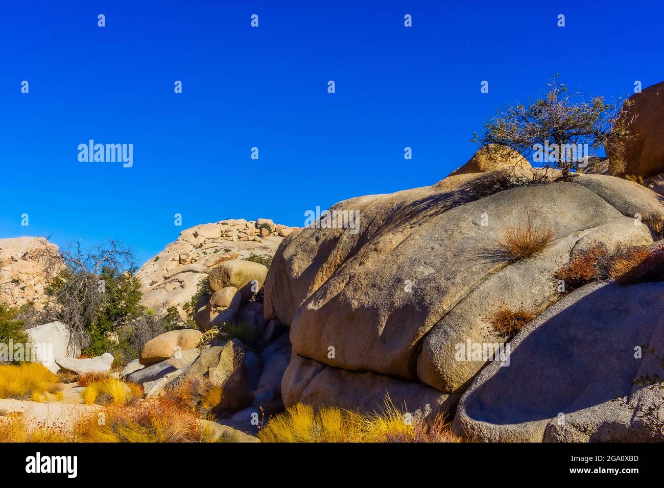 Joshua Tree National Park, California del Sud Foto Stock