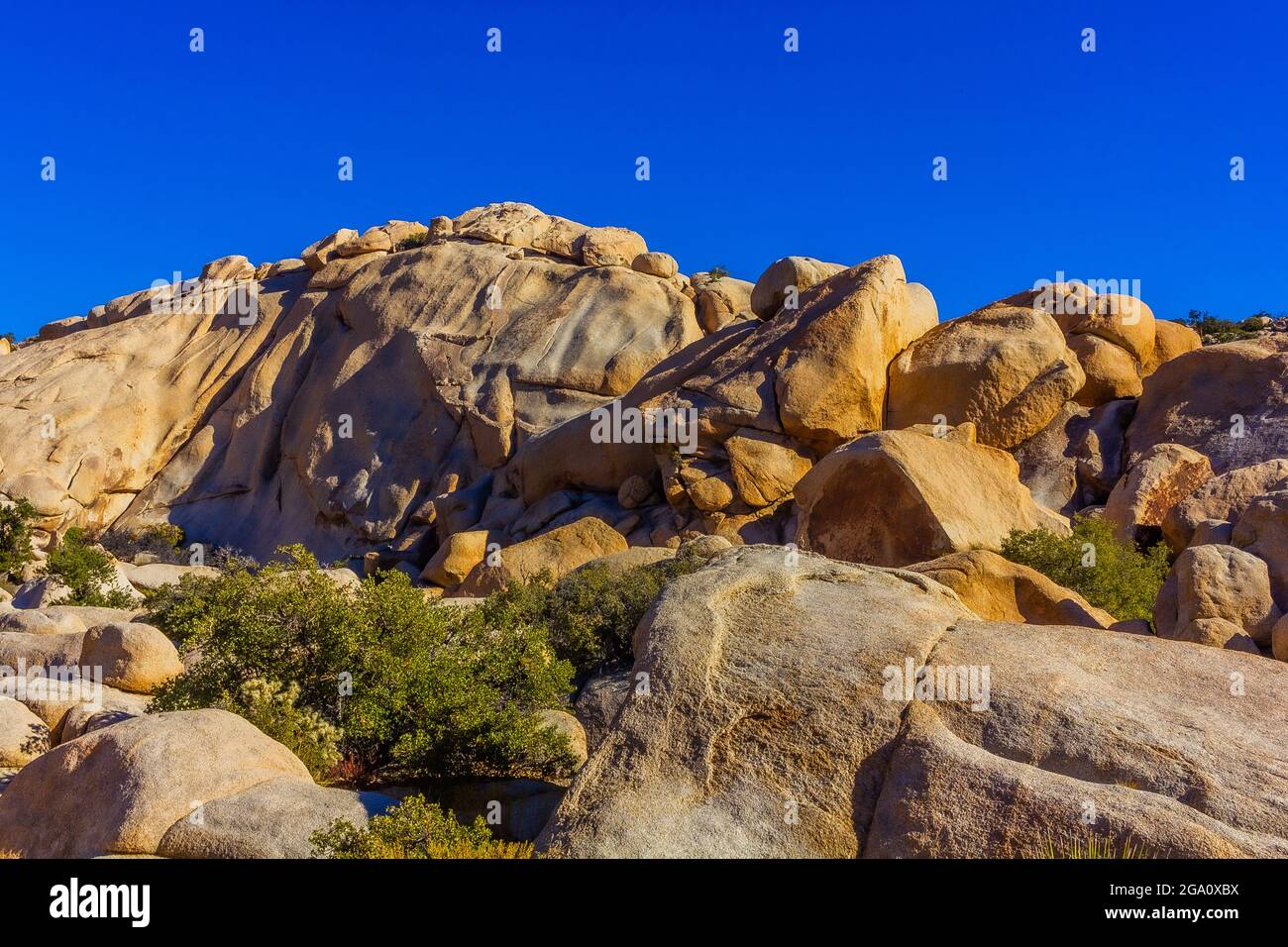 Joshua Tree National Park, California del Sud Foto Stock