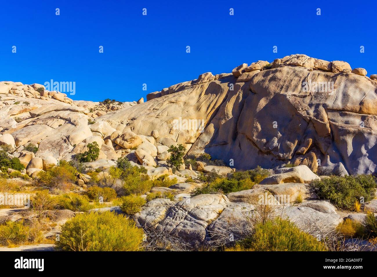 Joshua Tree National Park, California del Sud Foto Stock