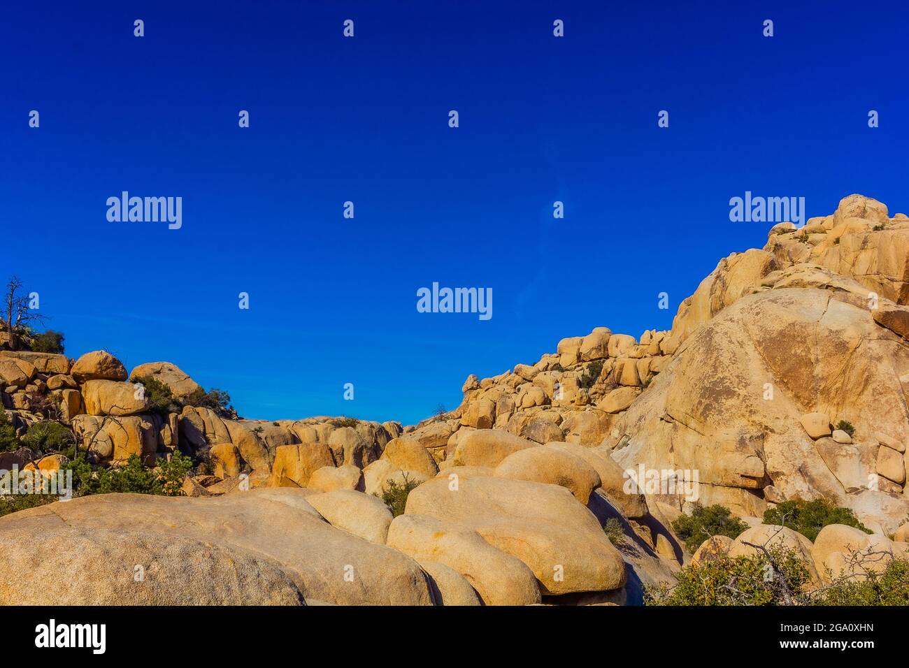 Joshua Tree National Park, California del Sud Foto Stock