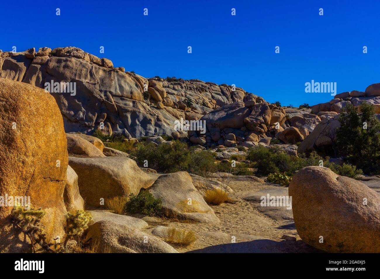 Joshua Tree National Park, California del Sud Foto Stock