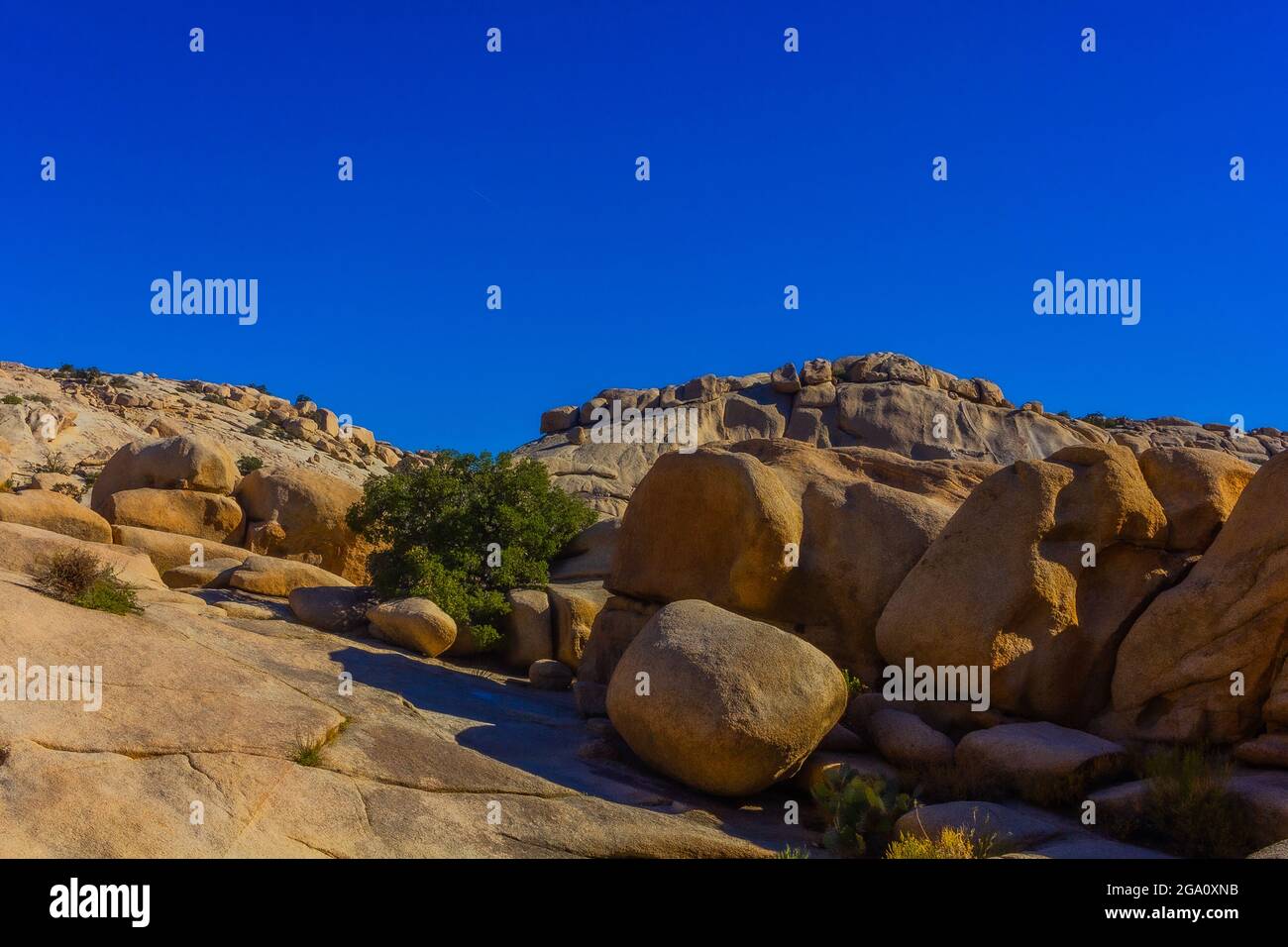 Joshua Tree National Park, California del Sud Foto Stock