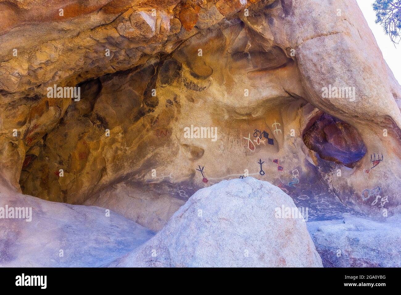 Joshua Tree National Park, California del Sud Foto Stock