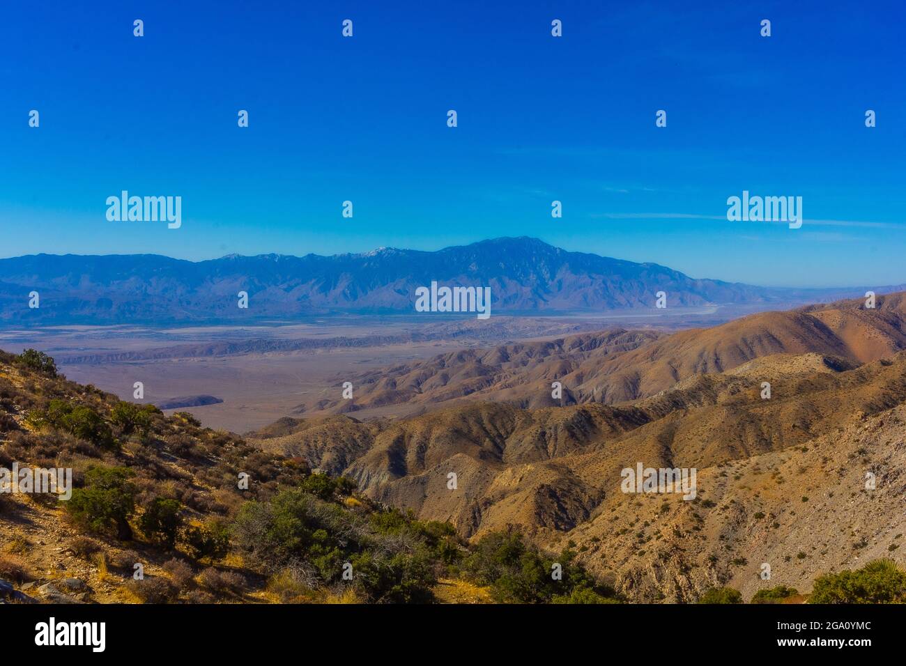 Joshua Tree National Park, California del Sud Foto Stock