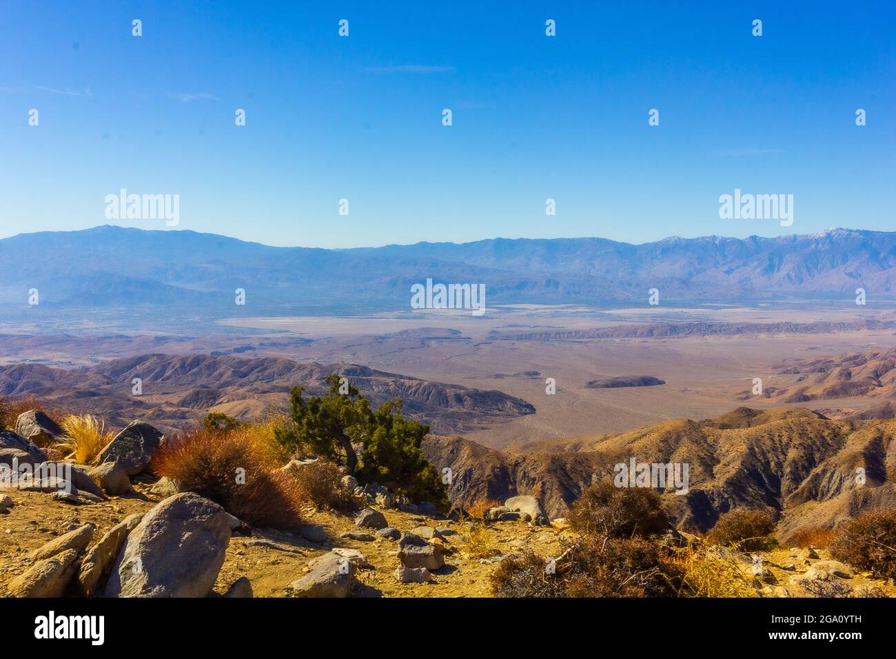 Joshua Tree National Park, California del Sud Foto Stock