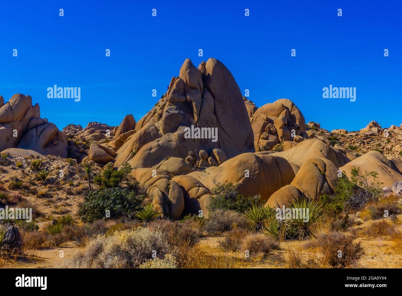 Joshua Tree National Park, California del Sud Foto Stock