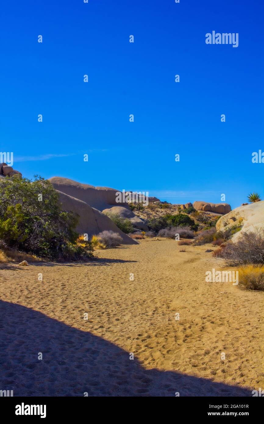 Joshua Tree National Park, California del Sud Foto Stock