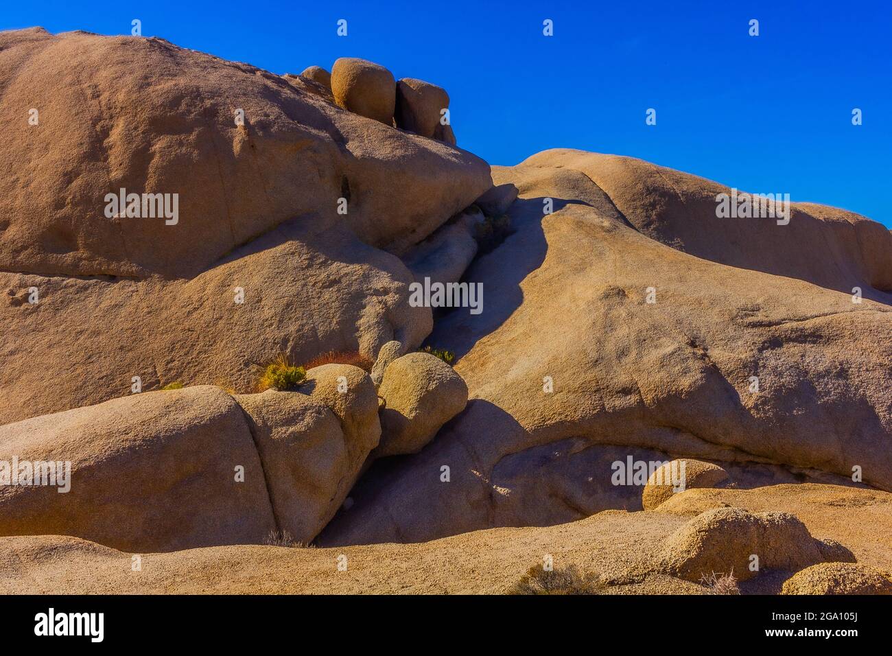 Joshua Tree National Park, California del Sud Foto Stock