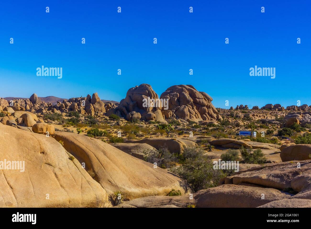 Joshua Tree National Park, California del Sud Foto Stock