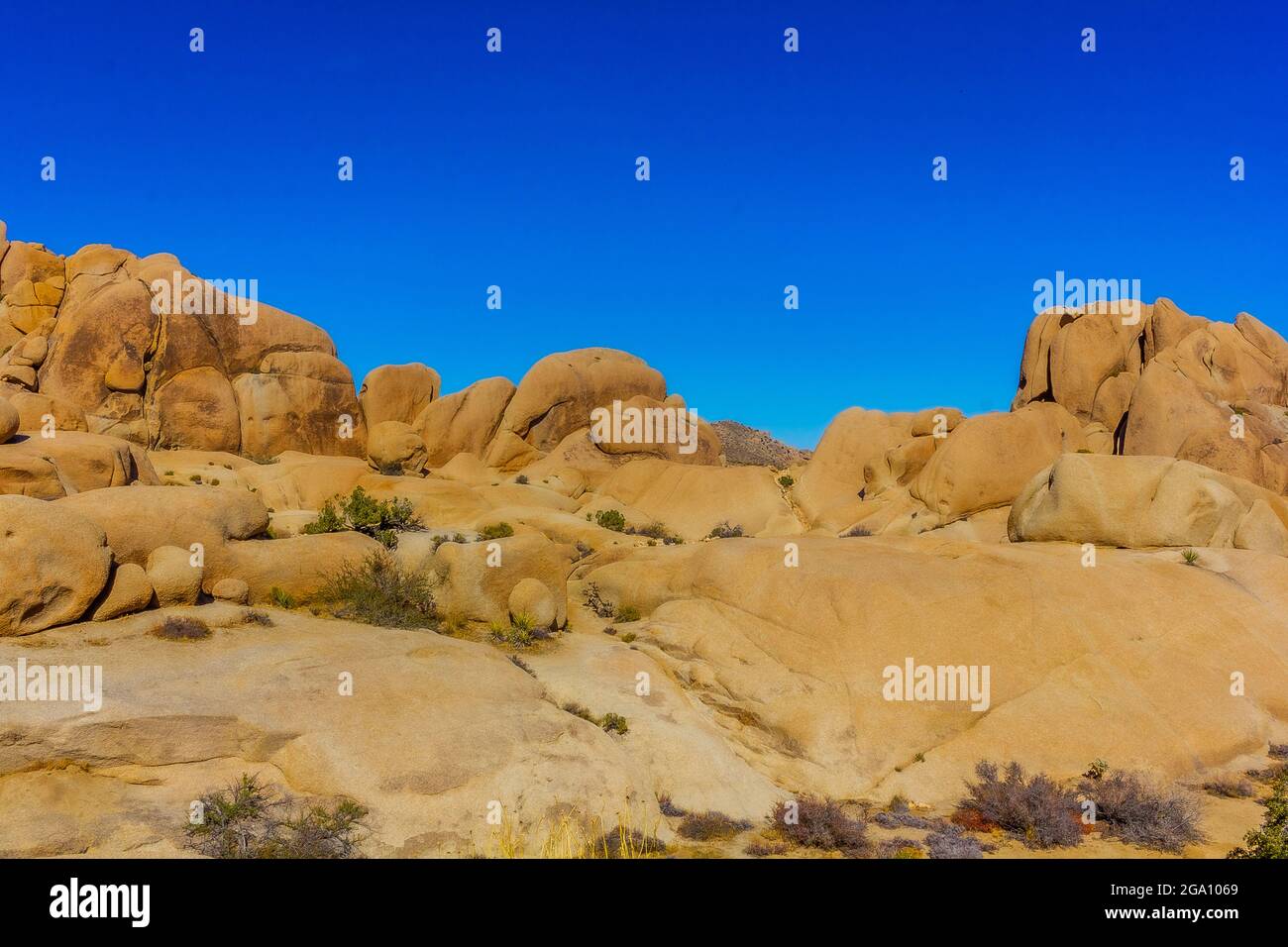 Joshua Tree National Park, California del Sud Foto Stock