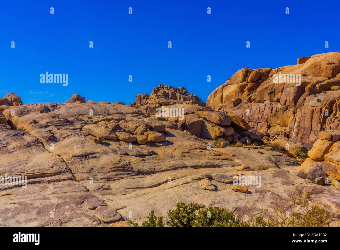 Joshua Tree National Park, California del Sud Foto Stock