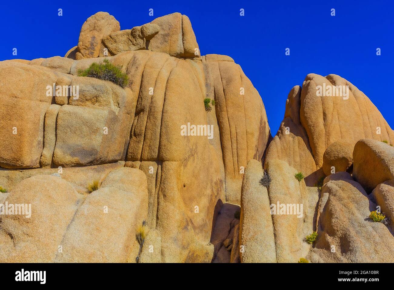 Joshua Tree National Park, California del Sud Foto Stock