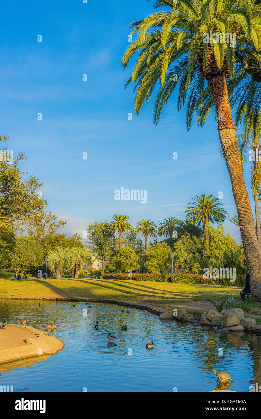 Un dicembre caldo a Santa Barbara, California Foto Stock