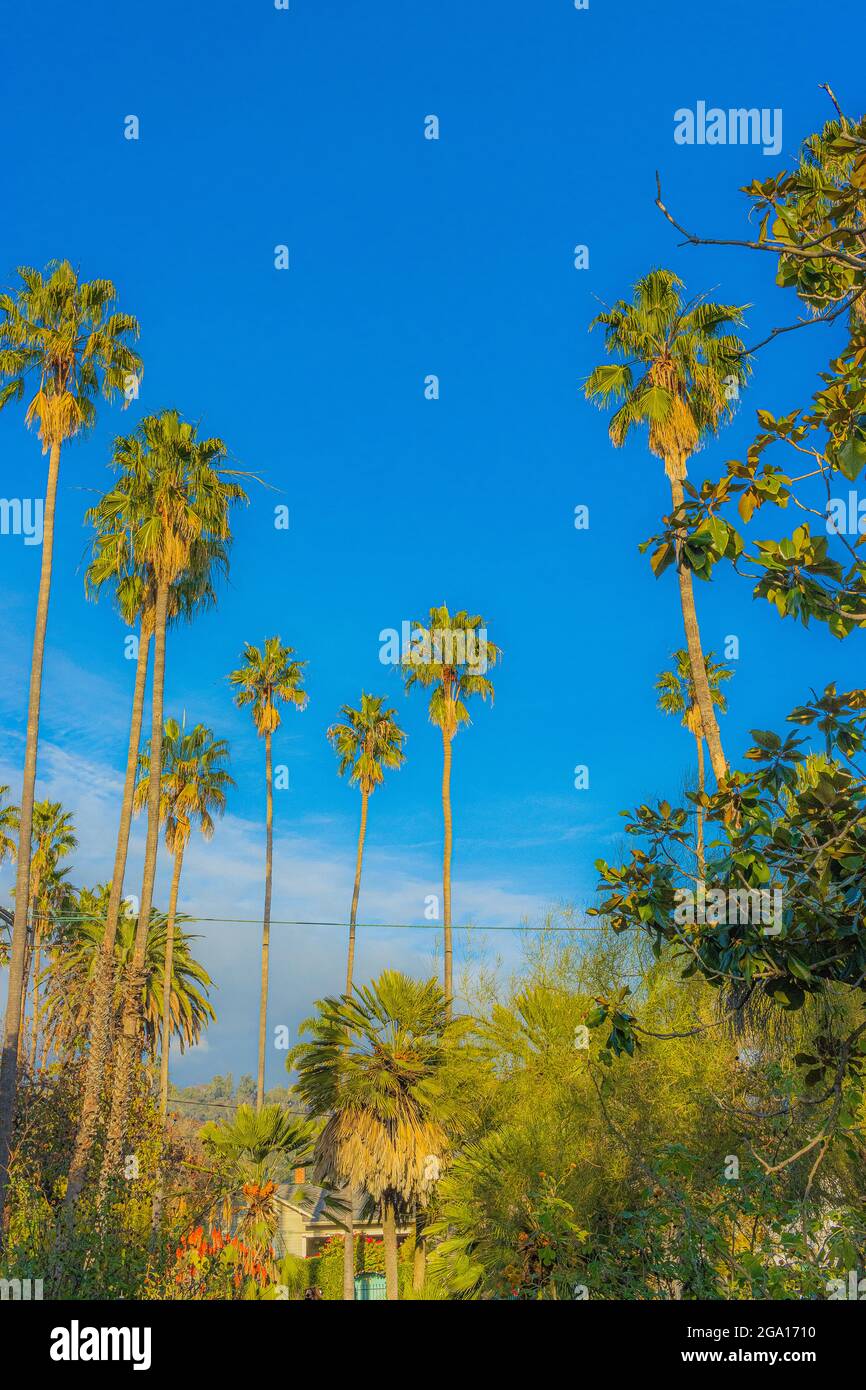 Un dicembre caldo a Santa Barbara, California Foto Stock