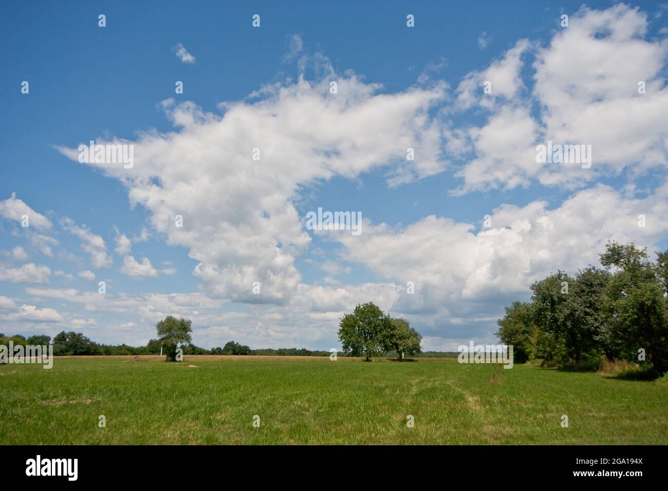 Nuvole su cielo estivo blu. Bellezza e tranquillità nella natura. Andiamo per una vacanza. Prato verde con alberi in campagna. Foto Stock