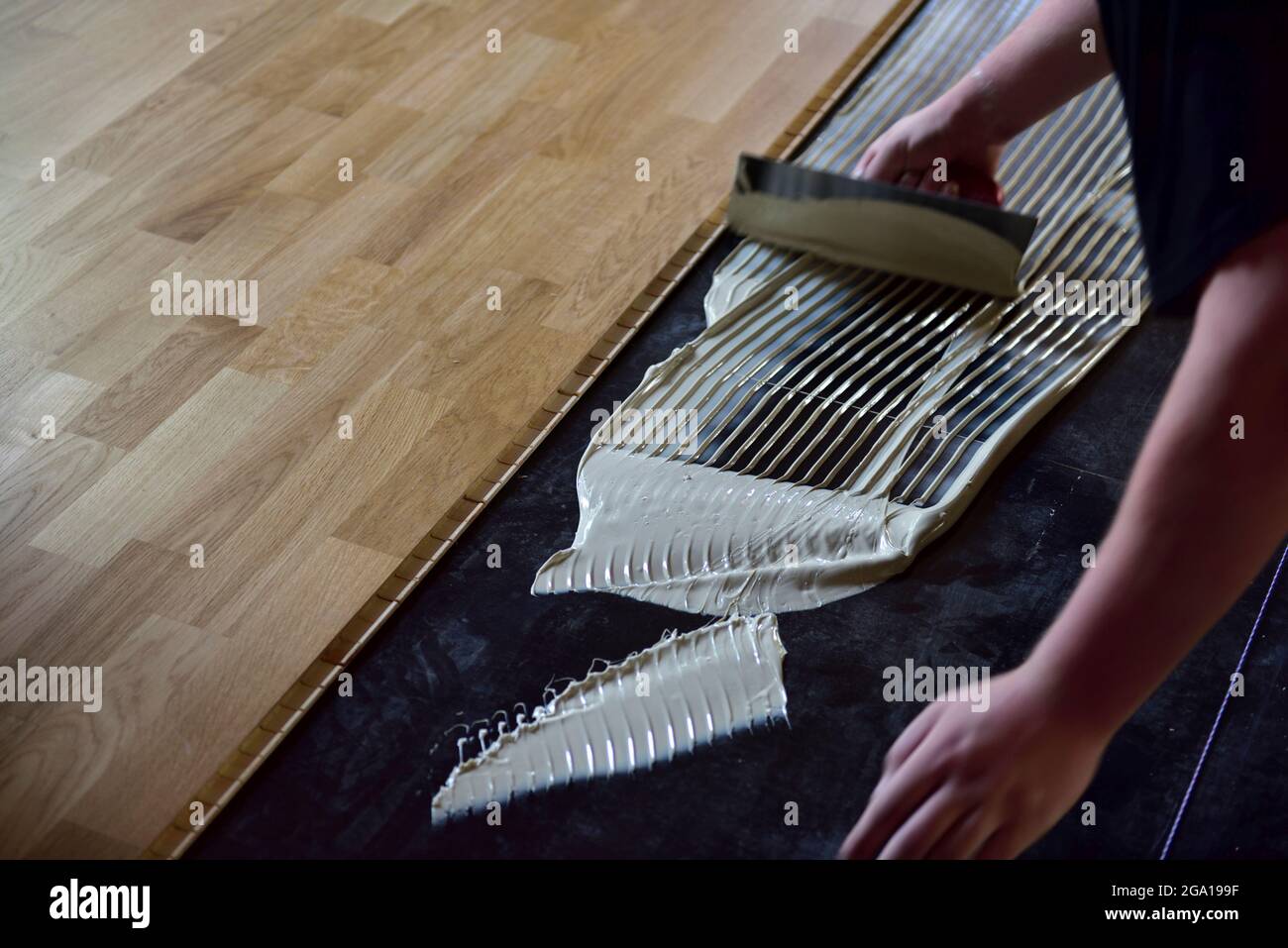 Stendimento adesivo da parte dell'operatore durante l'installazione di una linguetta di legno laminata e di un pavimento scanalato Foto Stock