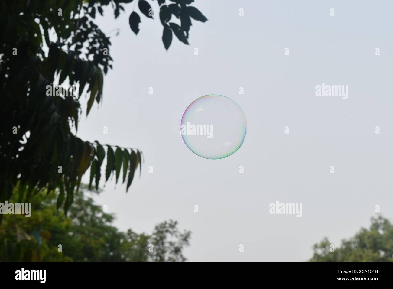 Bolle di sapone nell'aria Foto Stock