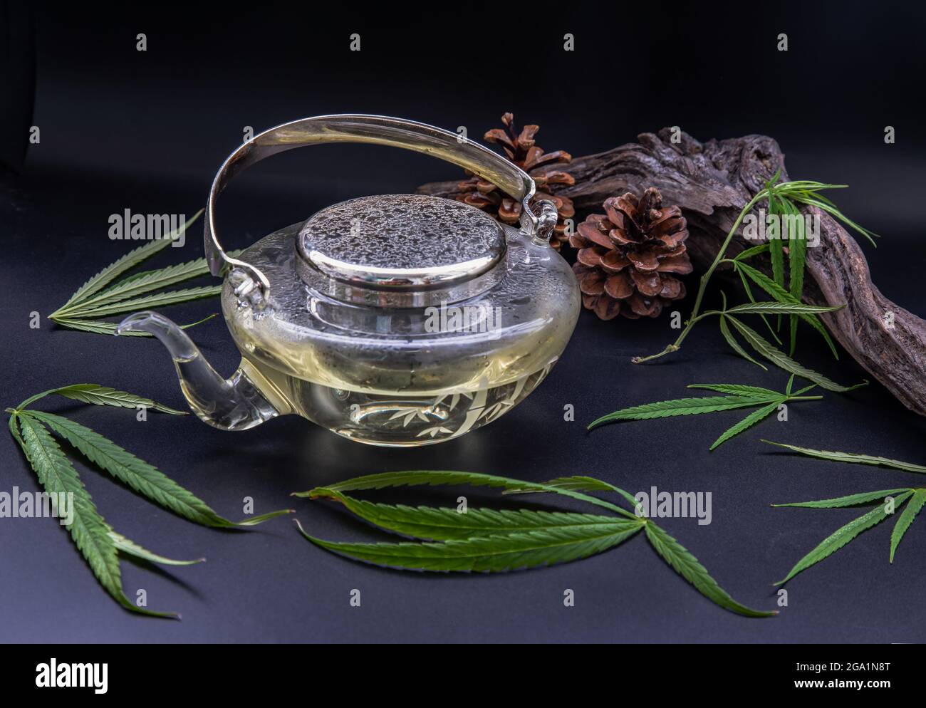 Tisane di cannabis in teiera e gambo con foglie di marijuana verde su sfondo nero. Scopi medici per il sonno e l'ansia. Tè alle erbe e sano Foto Stock
