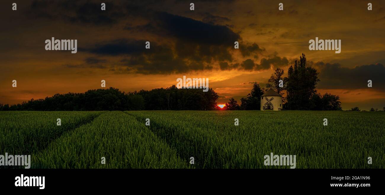 Incredibile tramonto e alba sul mulino a vento e sul campo di grano. La foto migliore Foto Stock