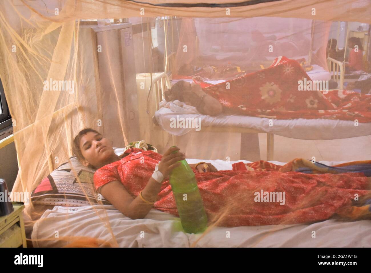 Pazienti dengue indiani , si trova su un letto coperto da una zanzariera nel reparto dengue di un ospedale governativo a Jabalpur, Madhya Pradesh INDIA. Foto Stock