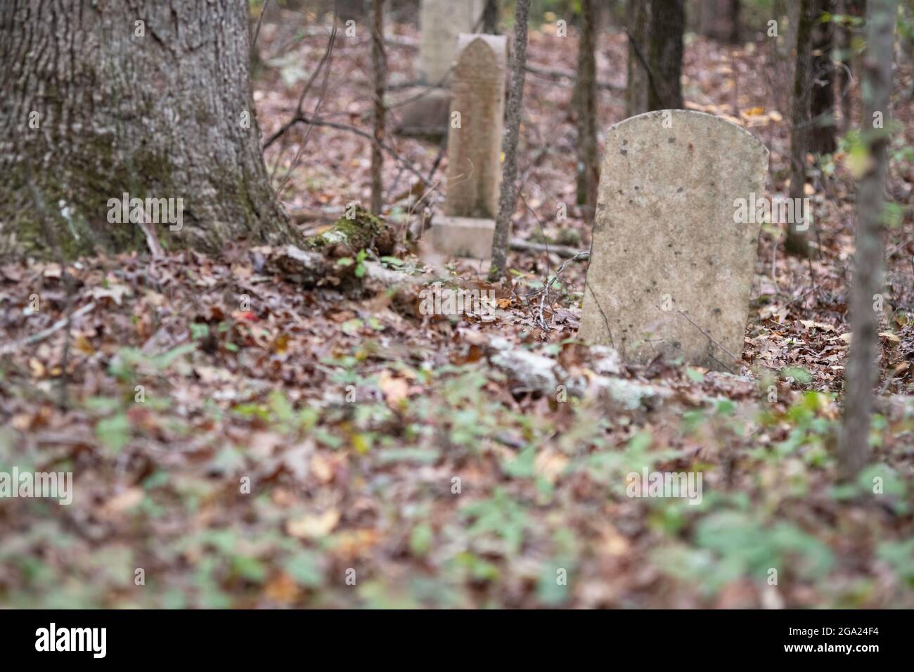 Fuoco poco profondo di una pietra di testa indossata liscia con il tempo in un vecchio cimitero surcresciuto nei boschi in Alabama rurale. Foto Stock