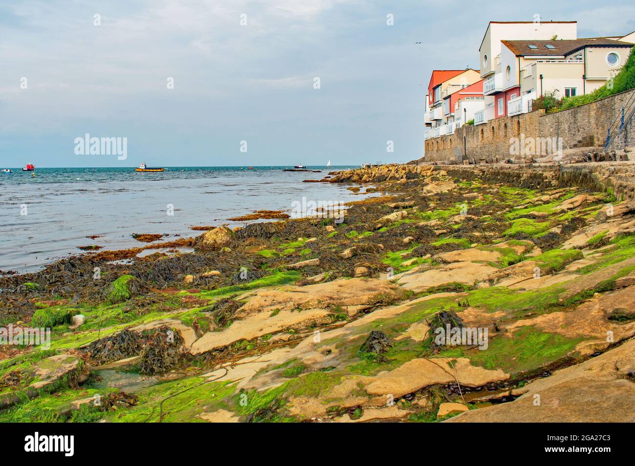 Una vista bassa lungo il sentiero roccioso della costa di Swanage fino a Peveril Point Foto Stock