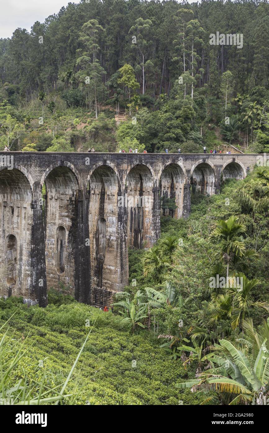 Ponte Nine Arch tra Ella e Demodra, Hill Country, Sri Lanka; Ella, Badulla District, Sri Lanka Foto Stock