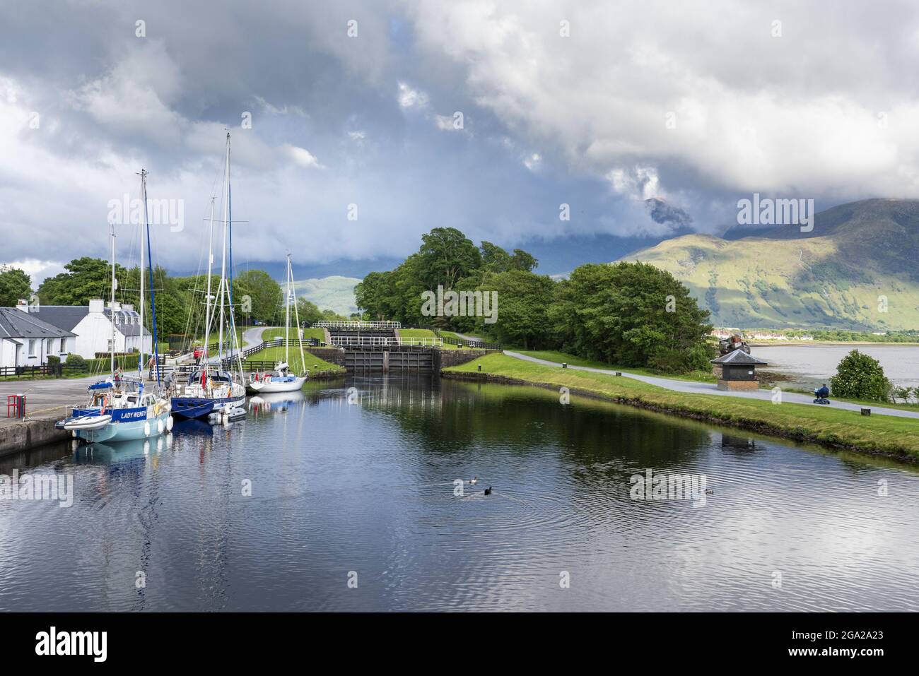 Le anatre galleggiano in una serratura di mare lungo il canale Caledoniano a Corpach, Scozia; Corpach, Scozia Foto Stock