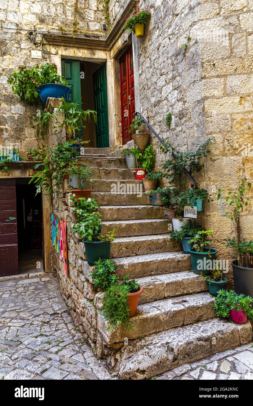 Vecchio edificio in pietra con scale fiancheggiate da piante in vaso che portano alle porte degli appartamenti residenziali nella città medievale isola di Trogir Foto Stock