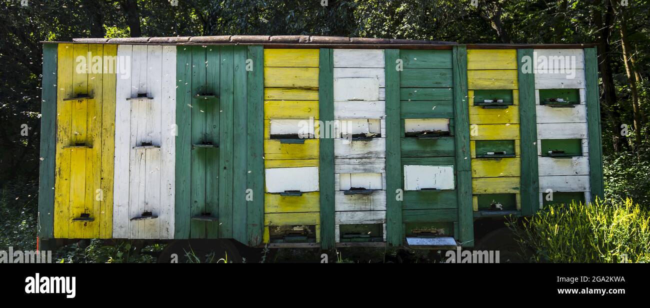 Primo piano di un camion di api rurale multicolore parcheggiato in campagna; contea di Brașov, Transilvania, Romania Foto Stock