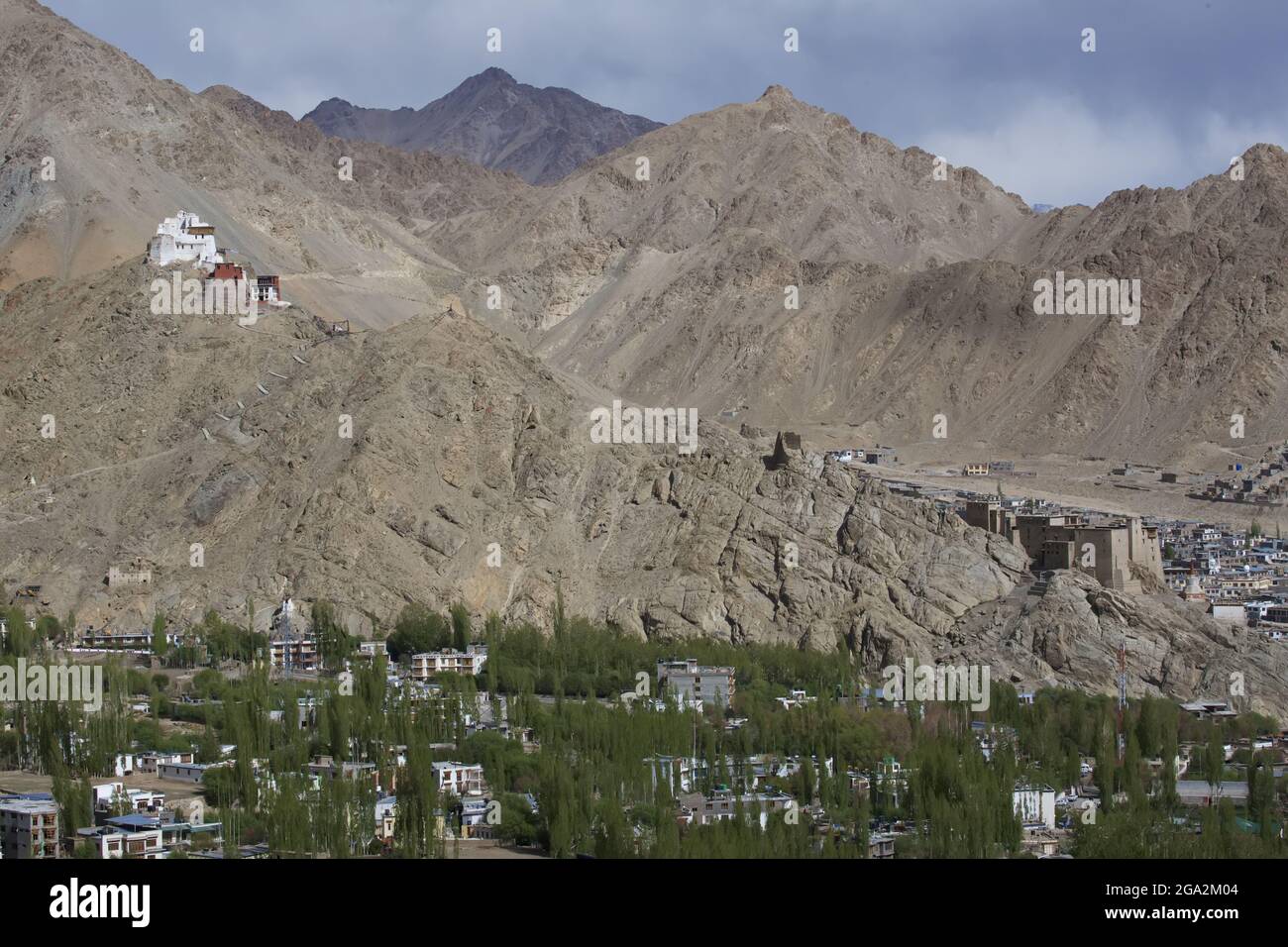 Tsemo Gampa (Monastero di Nargyal Tsemo) sopra il Palazzo Leh (ex Palazzo reale) di Leh nella valle dell'Indo, con la città di Leh e il suo verde... Foto Stock