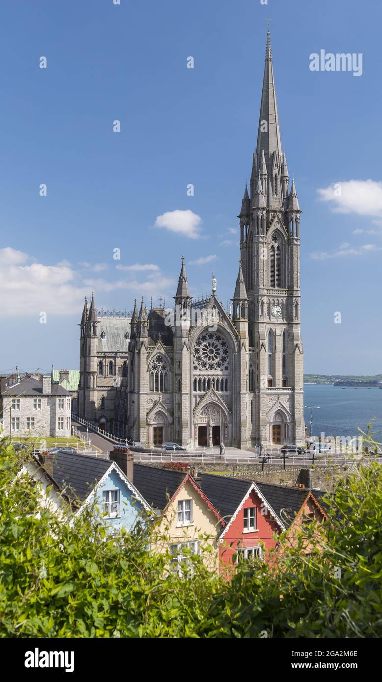 Case colorate e il loro tetto (noto come il ponte di carte) di fronte alla Chiesa Cattedrale di St Colman's Cathedral si affaccia sul porto... Foto Stock