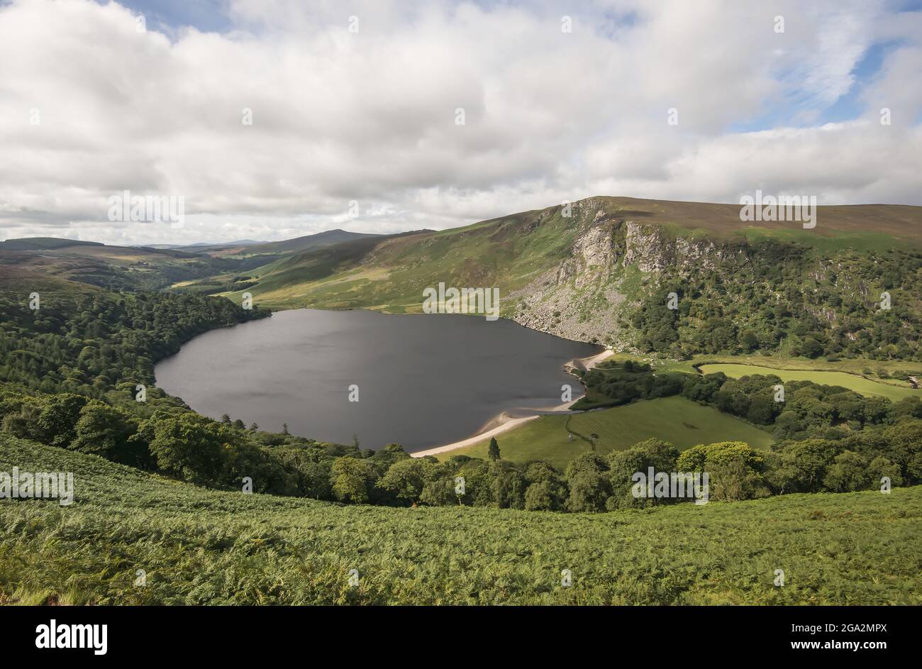 Panoramica del lago Guinness (Lough Tay) a Sallys Gap, un viaggio panoramico attraverso le montagne di Wicklow; County Wicklow, Irlanda Foto Stock