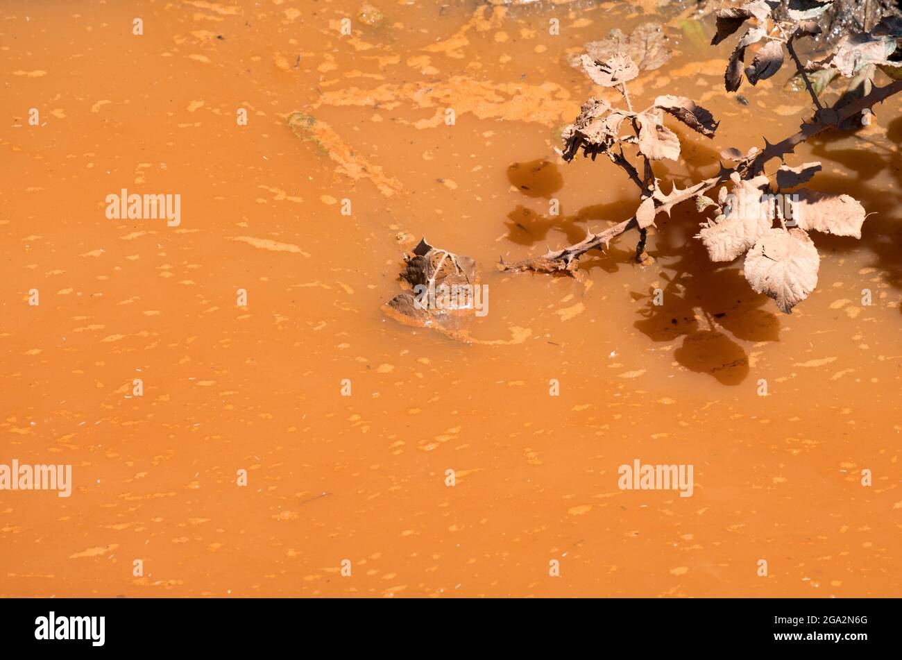 Piscina di acqua sporca inquinata Foto Stock