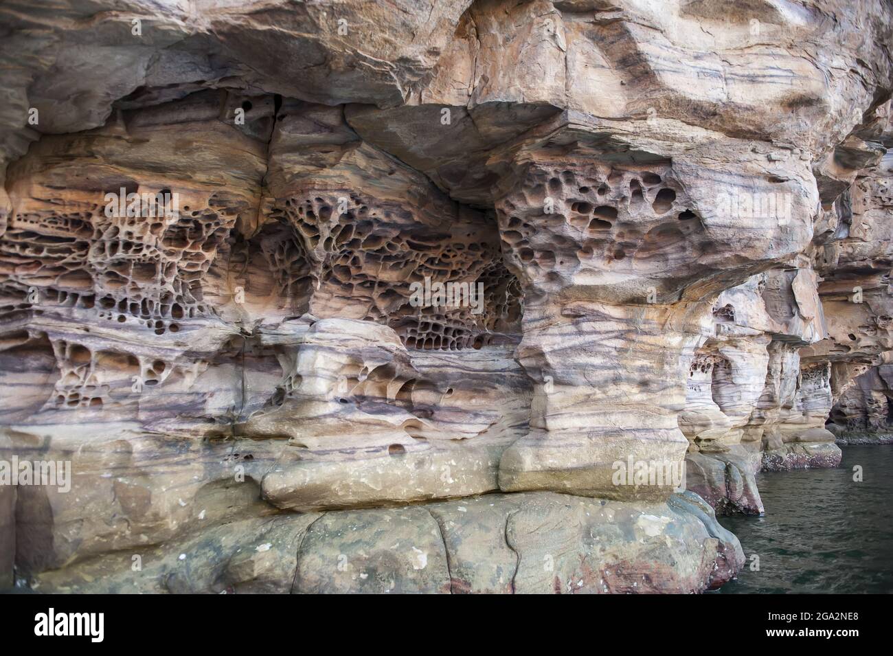 Primo piano delle intricate formazioni rocciose di tafoni nella scarpata di arenaria lungo le scogliere del fiume King George nella regione di Kimberley Foto Stock