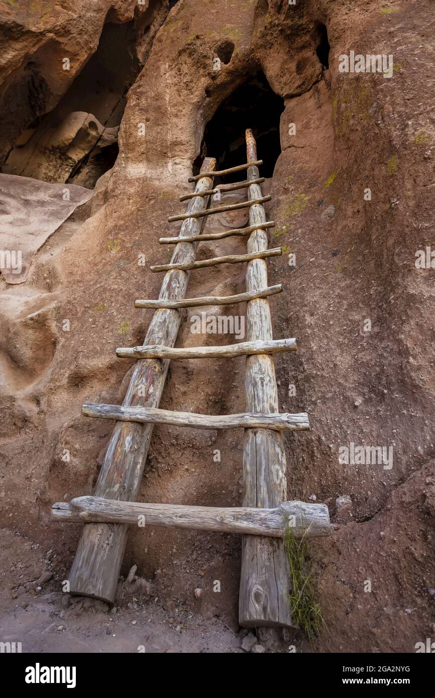 Una scala di legno nelle rovine di Pueblo conduce ad una dimora della grotta degli ancestrali Puebloans Foto Stock