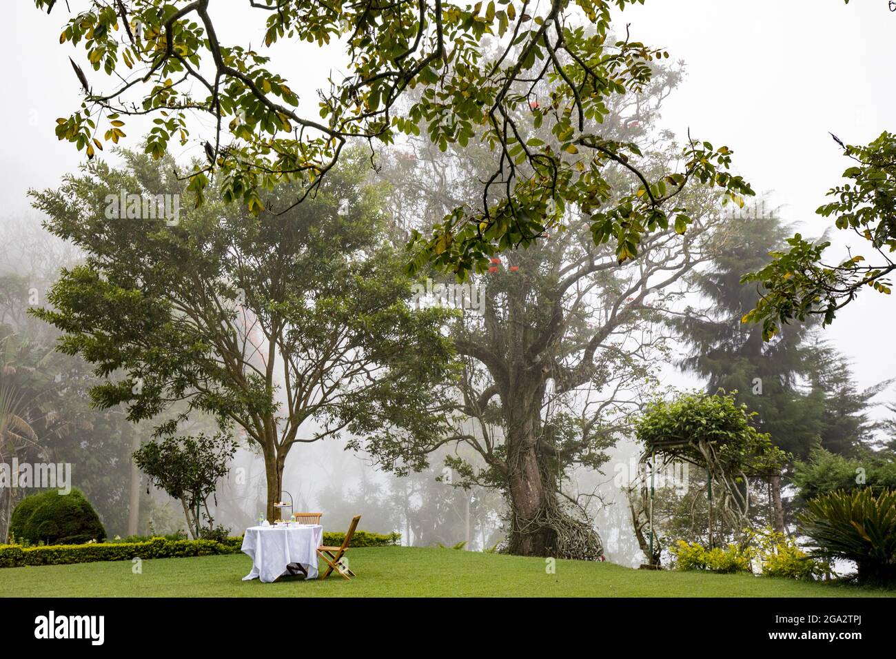 Tè pomeridiano sul prato presso il Bungalow precedentemente posseduto da Sir Thomas Lipton nella Dambatenne Tea Estate in Hill Country Foto Stock