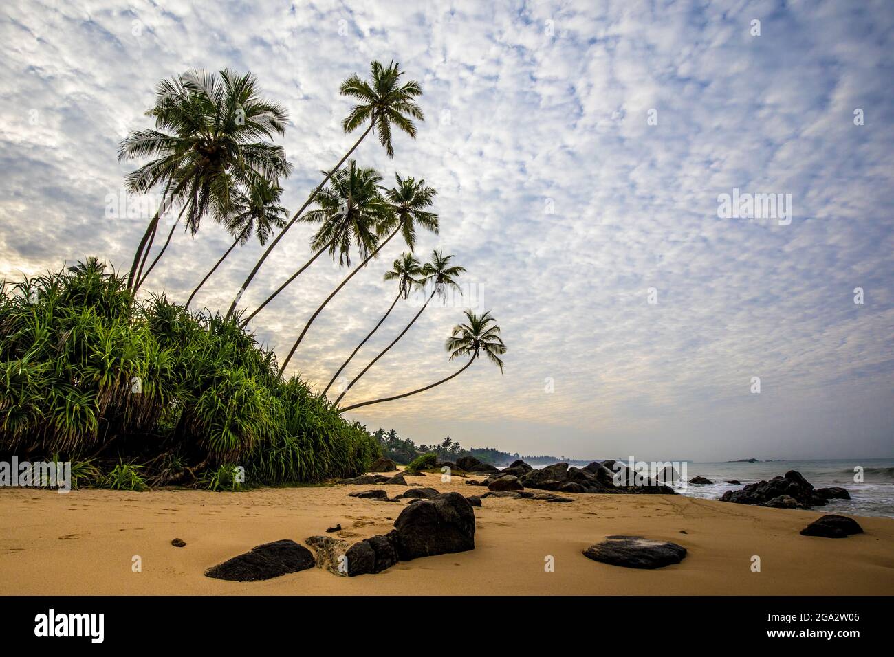 Alberi di palma (Arecaceae) rocce e sabbia sulla riva dell'Oceano Indiano di Kumu Beach; Balapitiya, Galle District, Sri Lanka Foto Stock