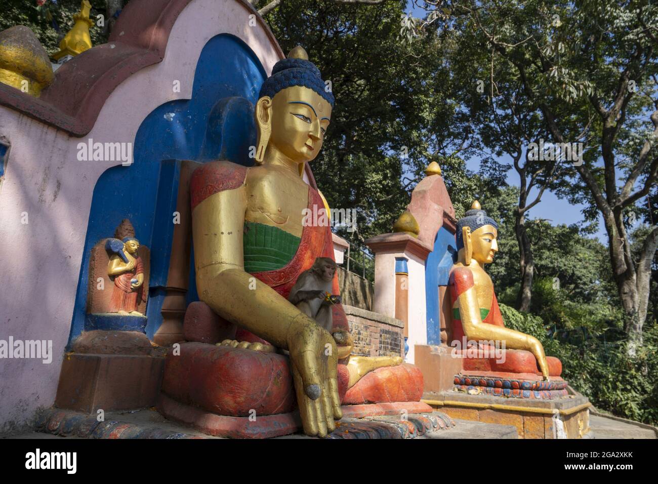 Scimmia rhesus Macaque (Macaca mulatta) e statua del Buddha sui gradini che conducono al grande stupa di Swayambhunath a Kathmandu, Nepal Foto Stock