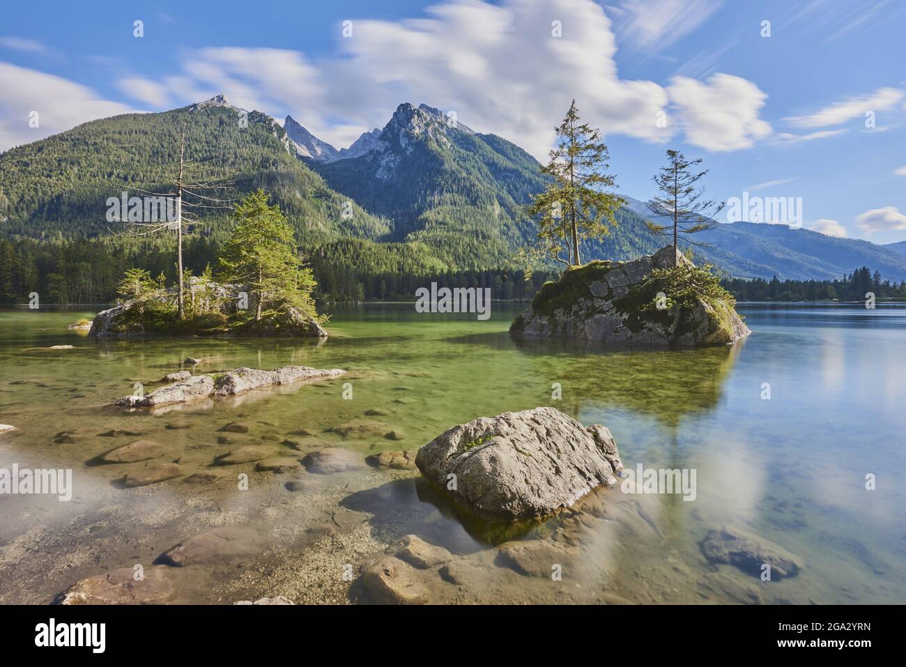 Abete (Picea abies) di Norvegia su piccole isole rocciose nelle acque limpide del lago di Hintersee, Alpi bavaresi Foto Stock