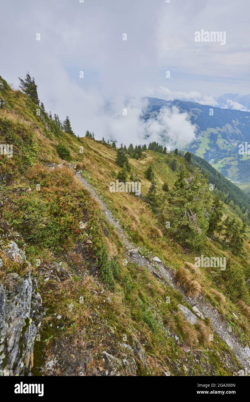 Vista dal Monte Schüttenhöhe di pendio erboso con conifere e nuvole nelle montagne sopra Zell am See, Kaprun; Stato di Salisburgo, Austria Foto Stock