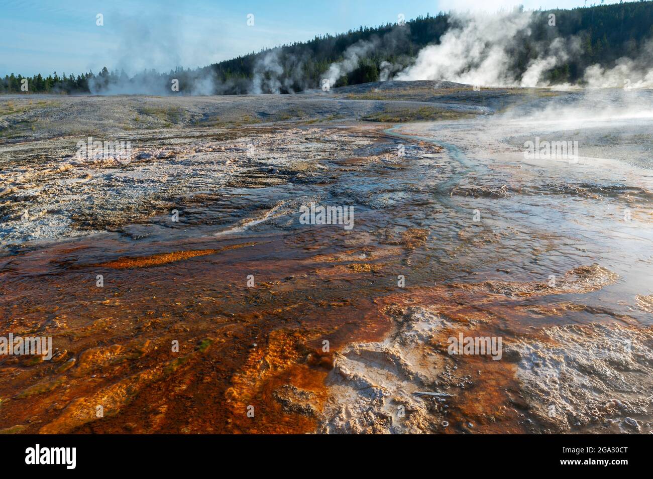 Il paesaggio intorno all'Upper Geyser Hill Trail nel parco nazionale di Yellowstone, Wyoming, Stati Uniti Foto Stock