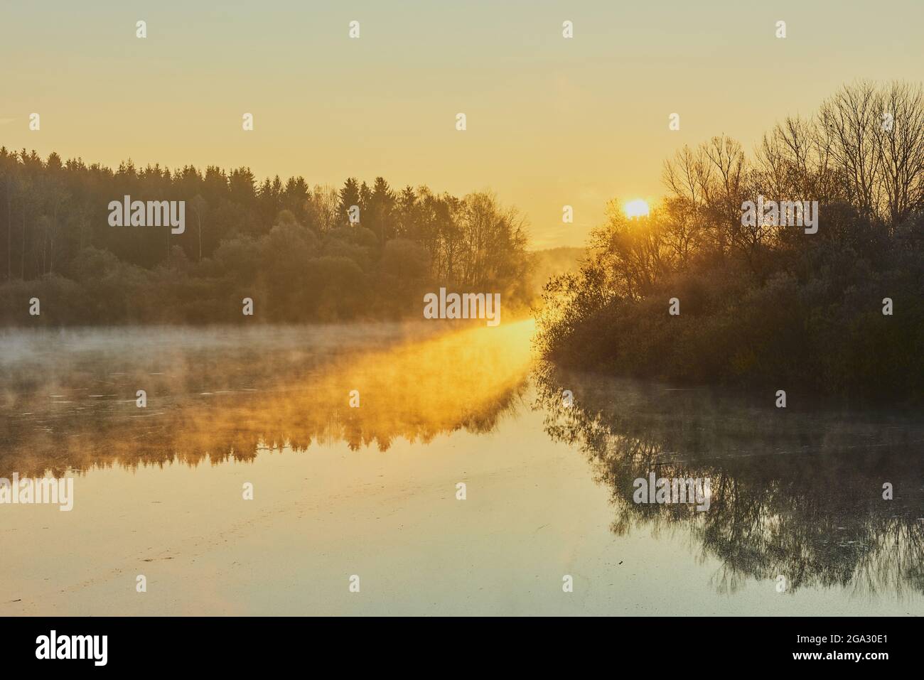 Alba in un lago artificiale a Rettenbach nella foresta bavarese; Baviera, Germania Foto Stock
