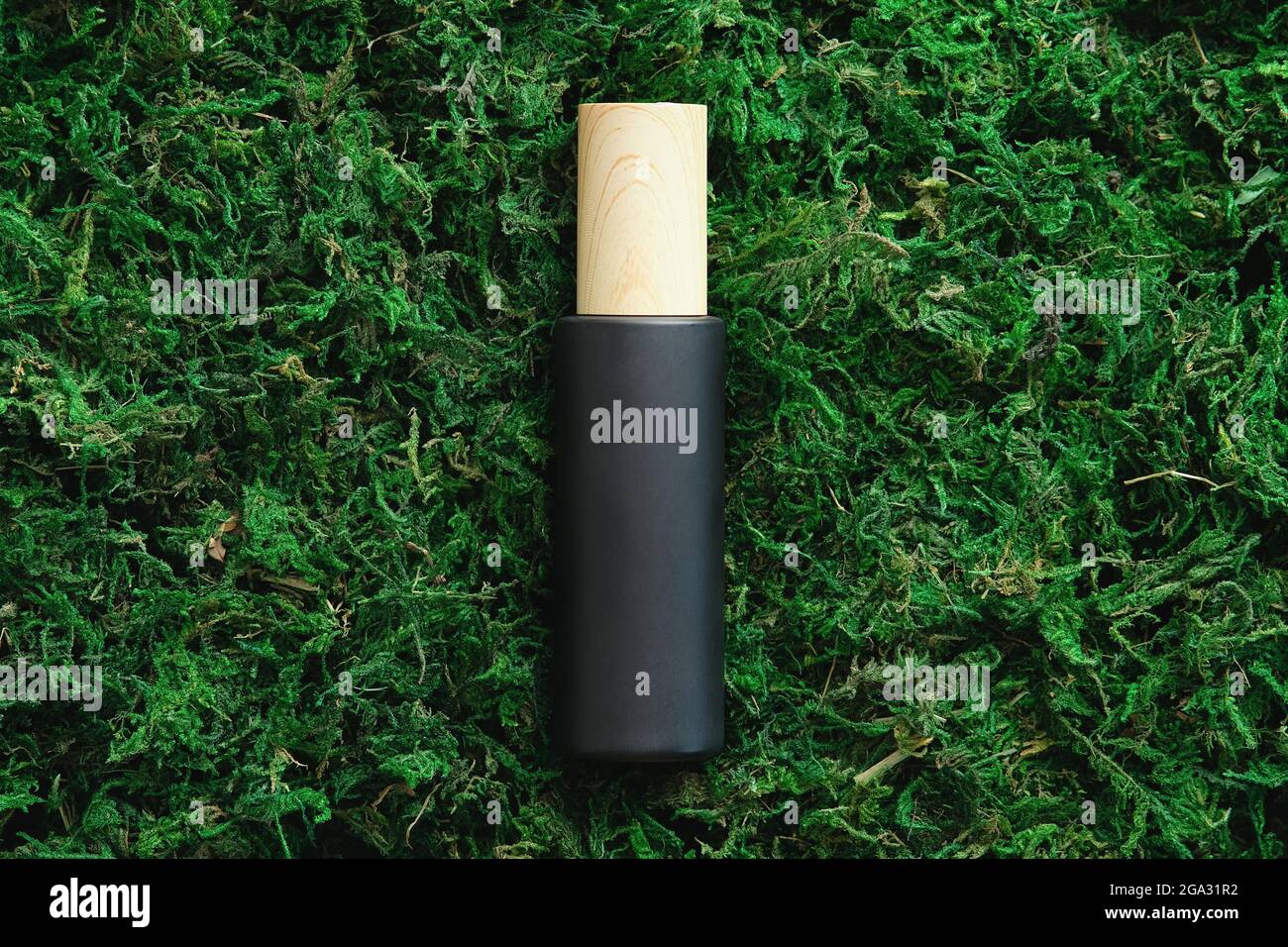 Contenitore cosmetico nero su fondo muschio nella foresta. Natura eco-friendly prodotti di bellezza branding, packaging design. Foto Stock
